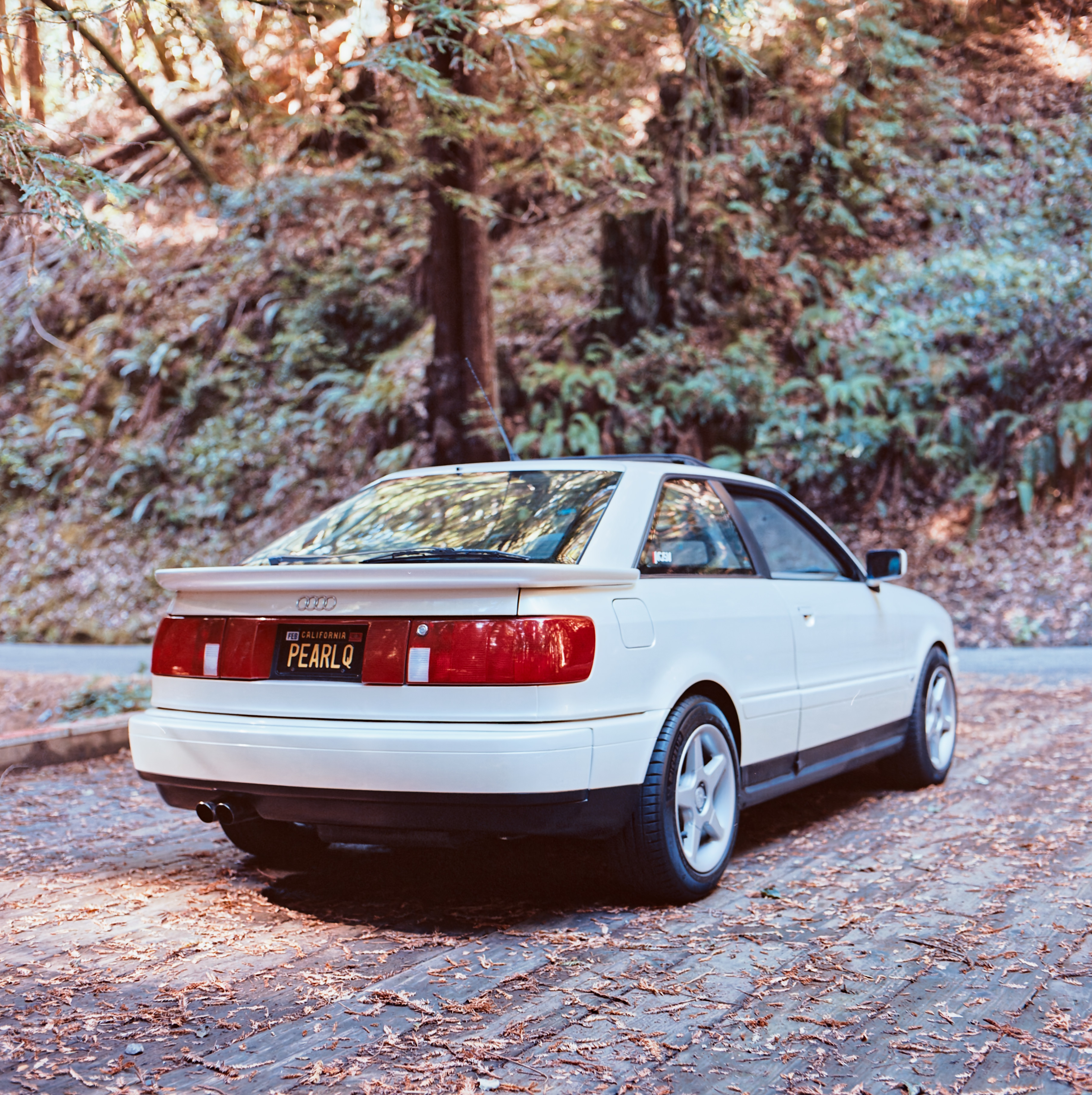 Audi Coupe Quattro in the forest